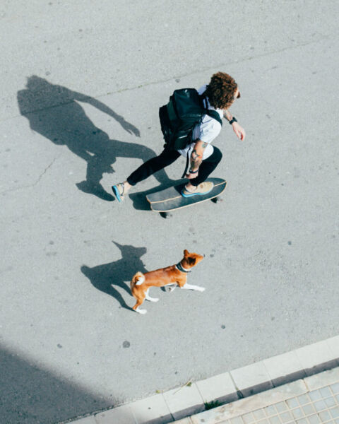 Person on a skateboard with a dog running beside them
