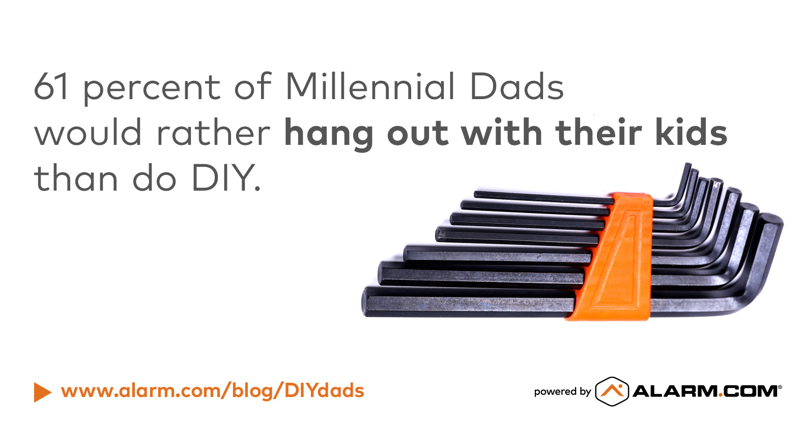 DIY Dads Survey Kids FB.jpg